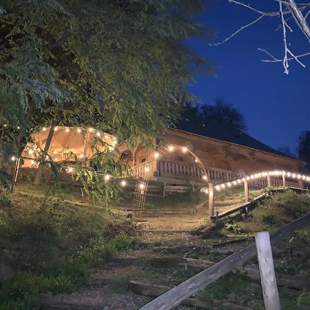 Villa Casuta Bunicilor à Viseu de Jos Extérieur photo