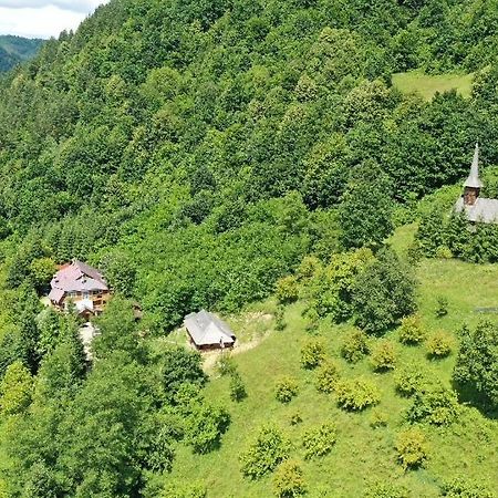 Villa Casuta Bunicilor à Viseu de Jos Extérieur photo
