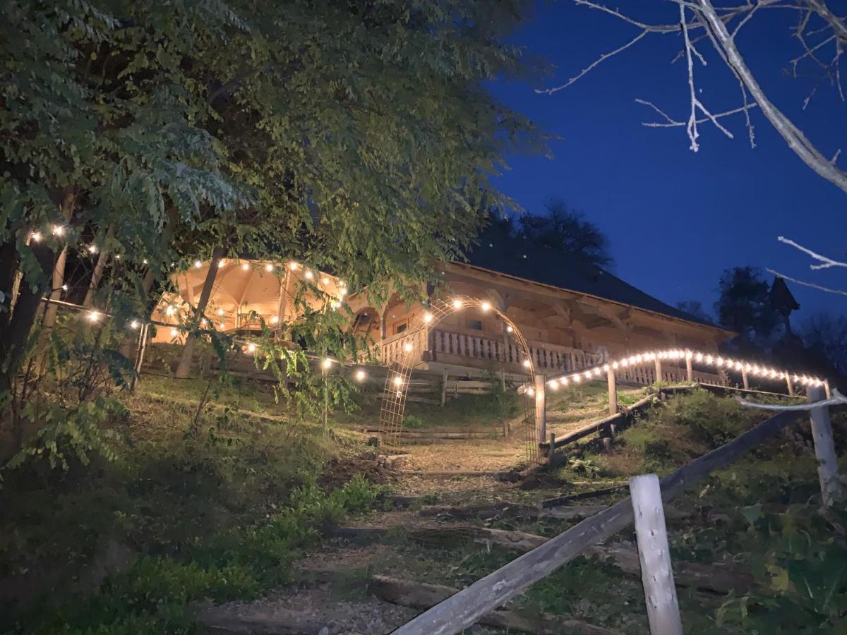 Villa Casuta Bunicilor à Viseu de Jos Extérieur photo